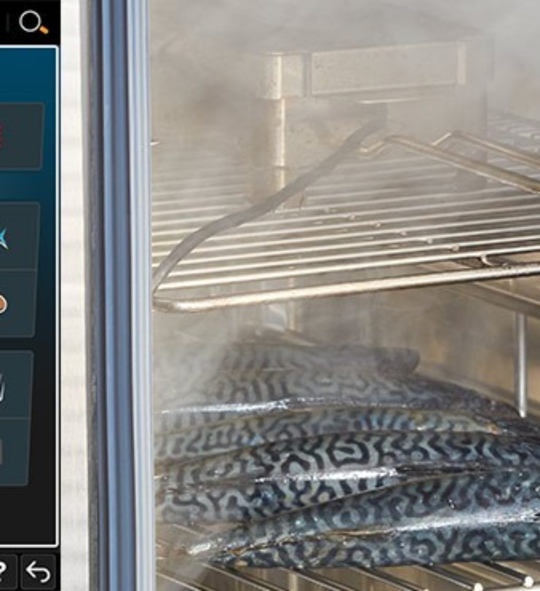 variosmoker rational udene ryby